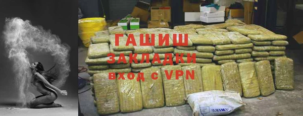 хмурый Алексин
