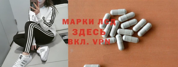 хмурый Алексин