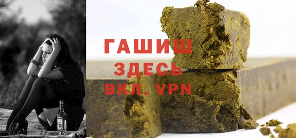 хмурый Алексин