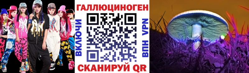 Псилоцибиновые грибы Psilocybe Судогда